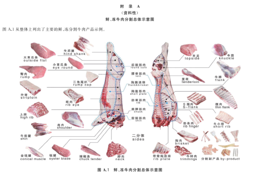 【凍肉進口】冷凍牛肉進口報關及運輸攻略