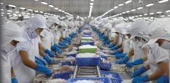 8月巴沙魚進口量暴跌60%！近半數越南巴沙魚工廠停產！