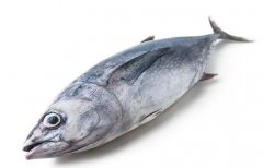 曼谷金槍魚價格繼續上漲，12月均價超過厄瓜多爾！